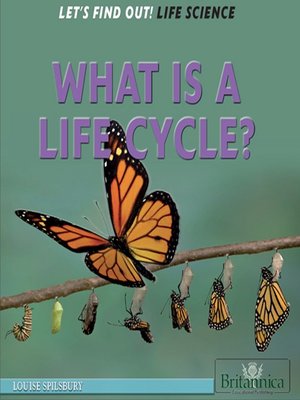 cover image of What Is a Life Cycle?